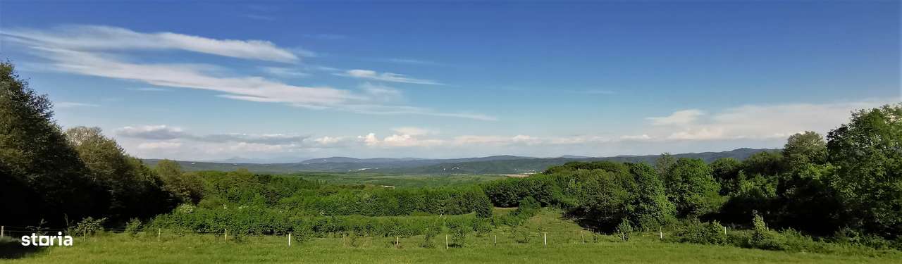 Ferma de aluni + teren turistic panoramic - Imagine principală: 4/9