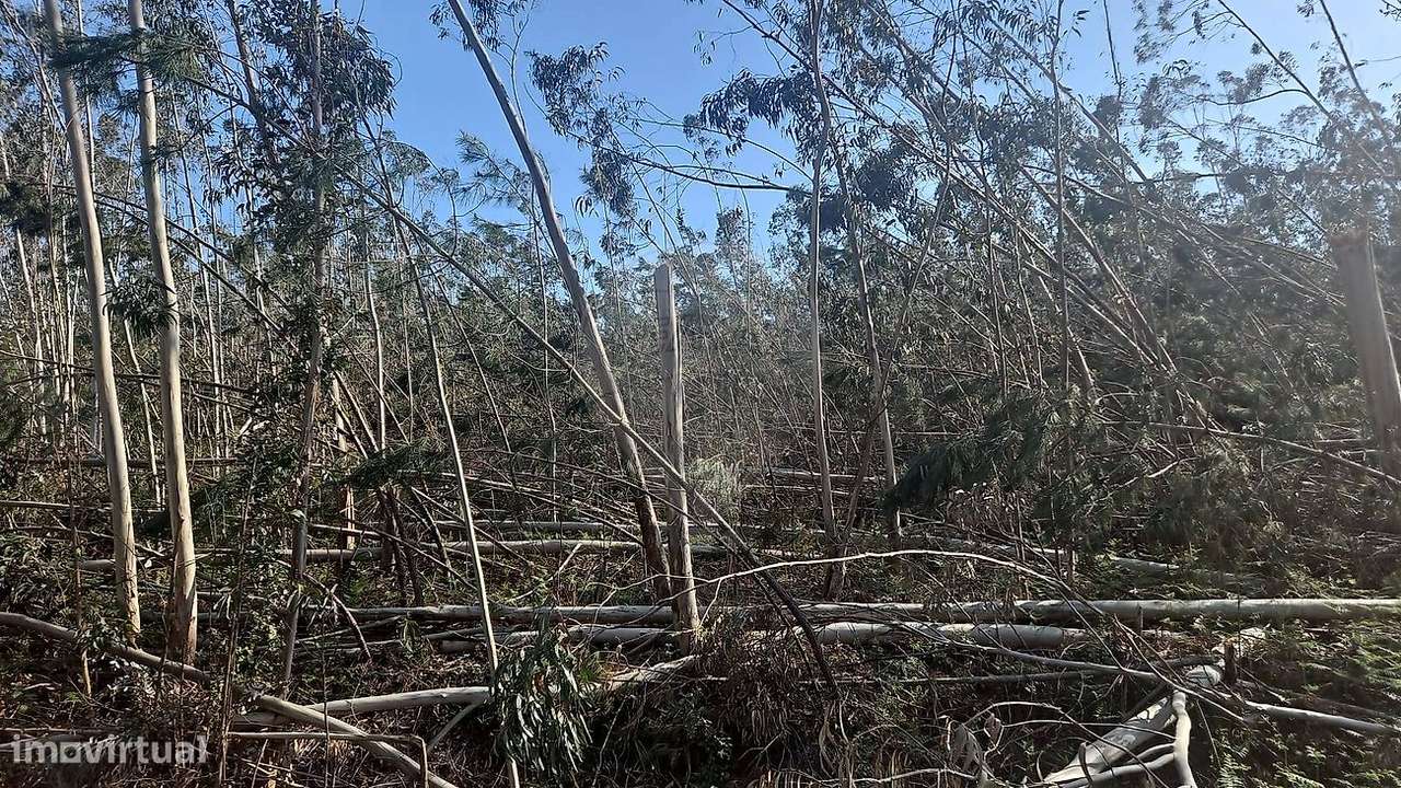 Terreno  para venda - Grande imagem: 5/6