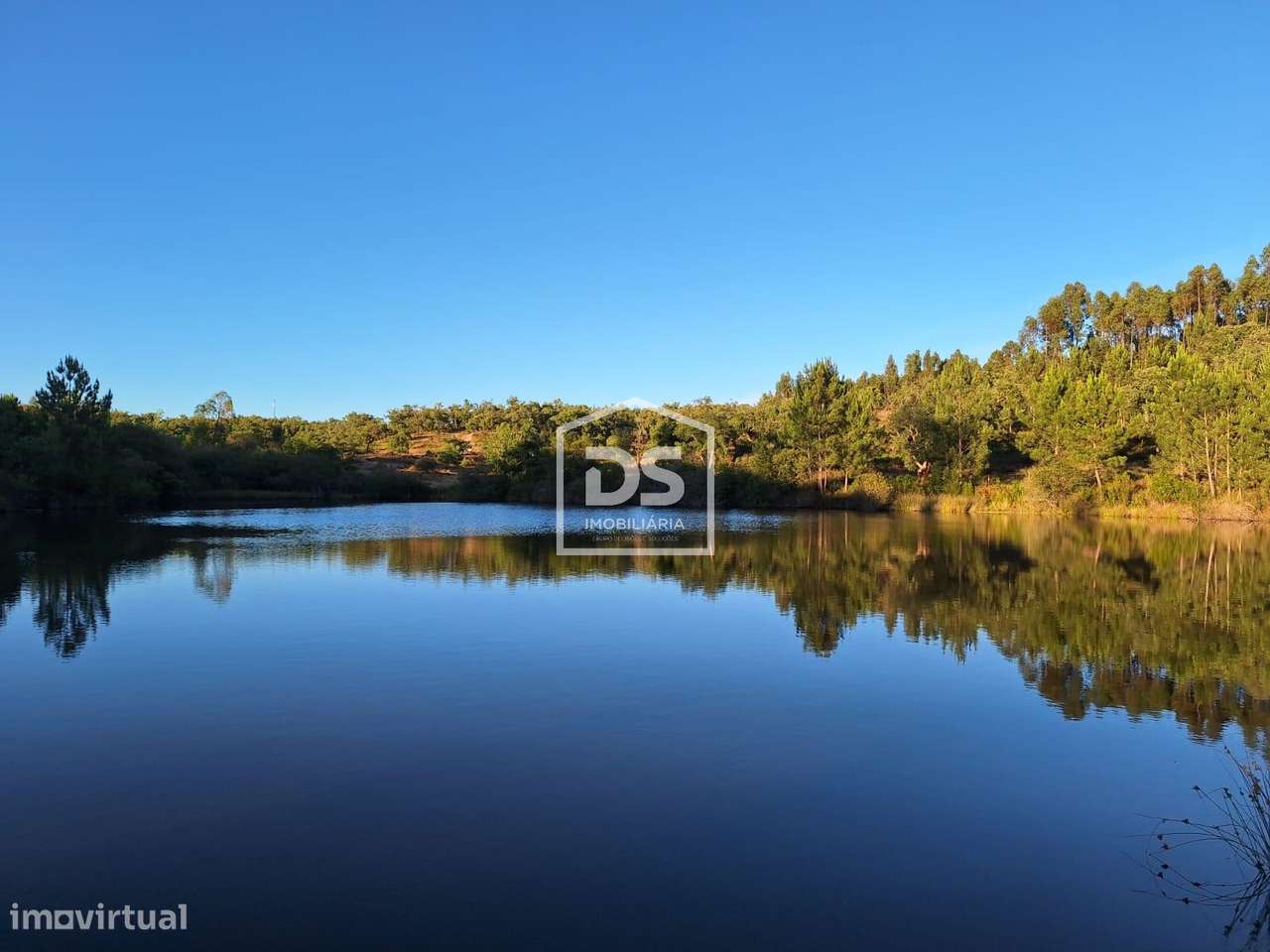 Herdade  Venda em Raposa,Almeirim - Grande imagem: 4/27