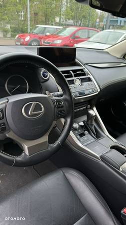 Lexus NX 300h E-FOUR Business Line - 17