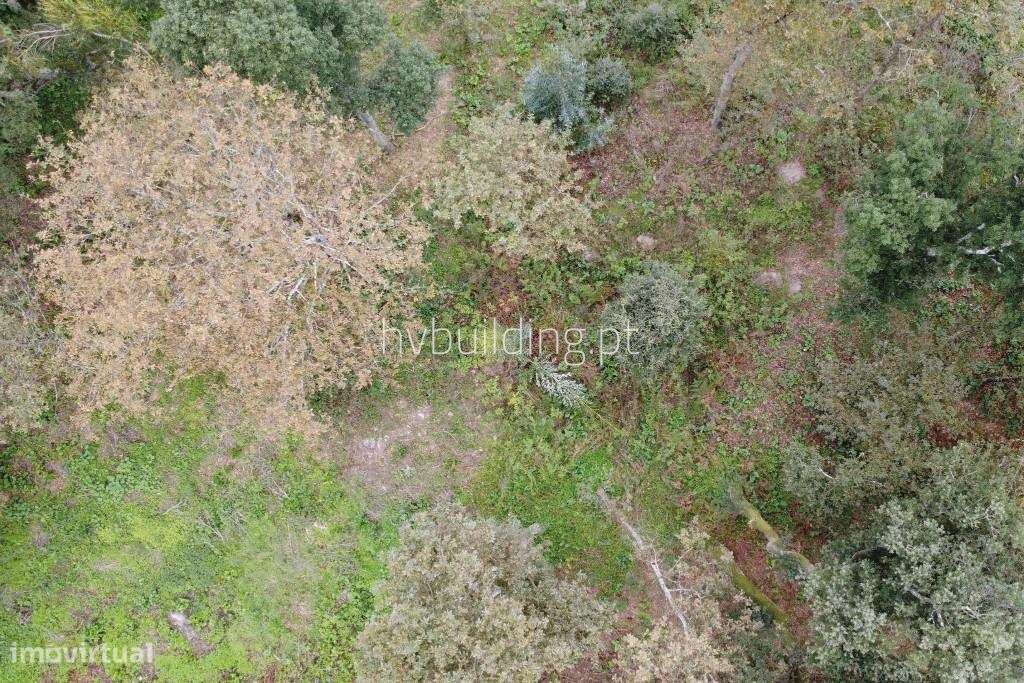 Terreno para construção em Carvalhal-3