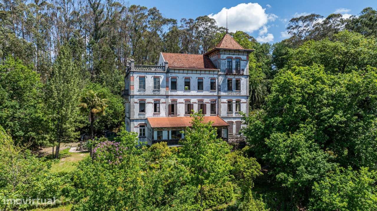 Quinta com Palacete e terreno de 50 ha em Seixoso - Felgueiras - Grande imagem: 4/59