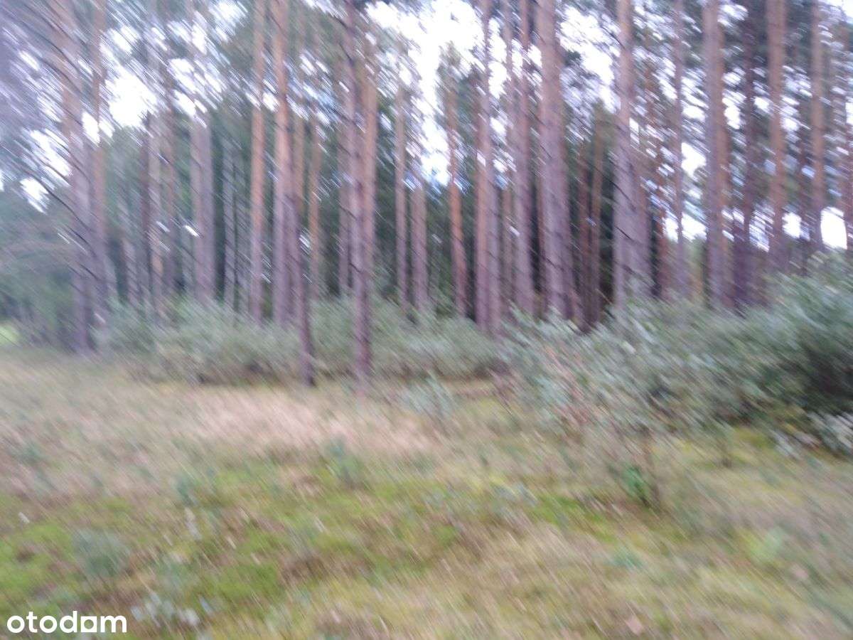 Miedzichowo grunt rolny z warunkami zabudowy! - Pełny obrazek: 4/4