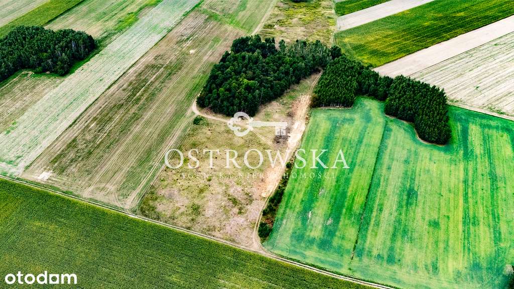 Działki budowlane obok lasu Nużewo - 95 zł/m2!!! - Pełny obrazek: 5/8