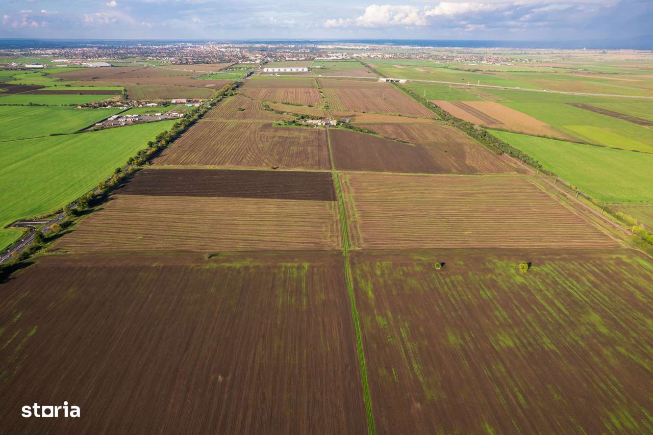 Teren de 100000 mp în Arad - Imagine principală: 5/5