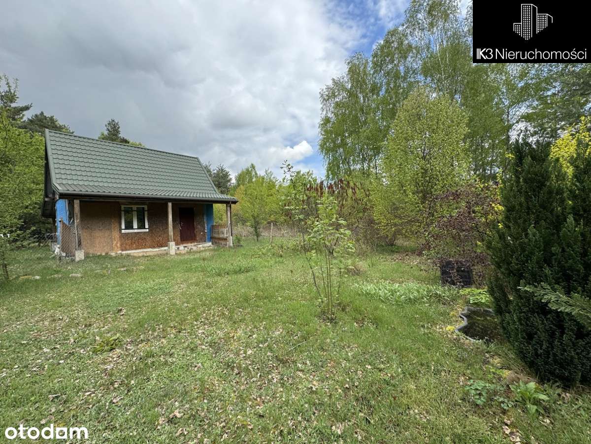 domek wakacyjny na dużej działce z lasem - Pełny obrazek: 5/20