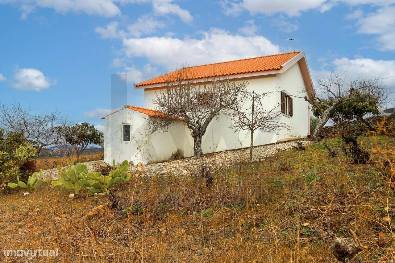 Moradia T3 térrea,  Isolada com 331m2 de terreno em Carviçais,  Bragan - Grande imagem: 3/41