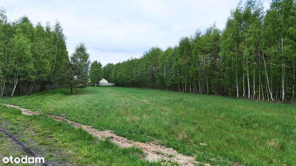 Atrakcyjna Działka Budowlana 11Ar W Otoczeniu Lasu - Pełny obrazek: 5/6