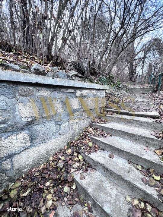 Conac Istoric de Vanzare Cluj ,Central – Locuinta Deosebita cu Teren - Imagine principală: 5/14
