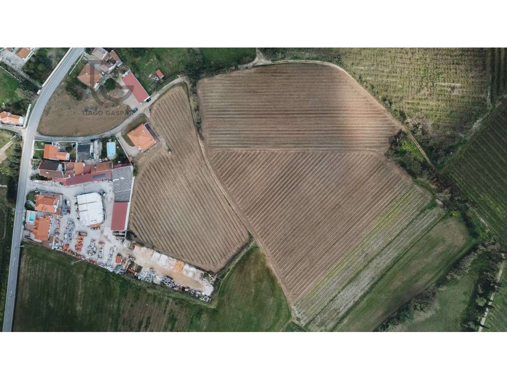 Moradia T3 com Terreno 10.000m² e Vinha em Produção | Arneiro - Tor...-31