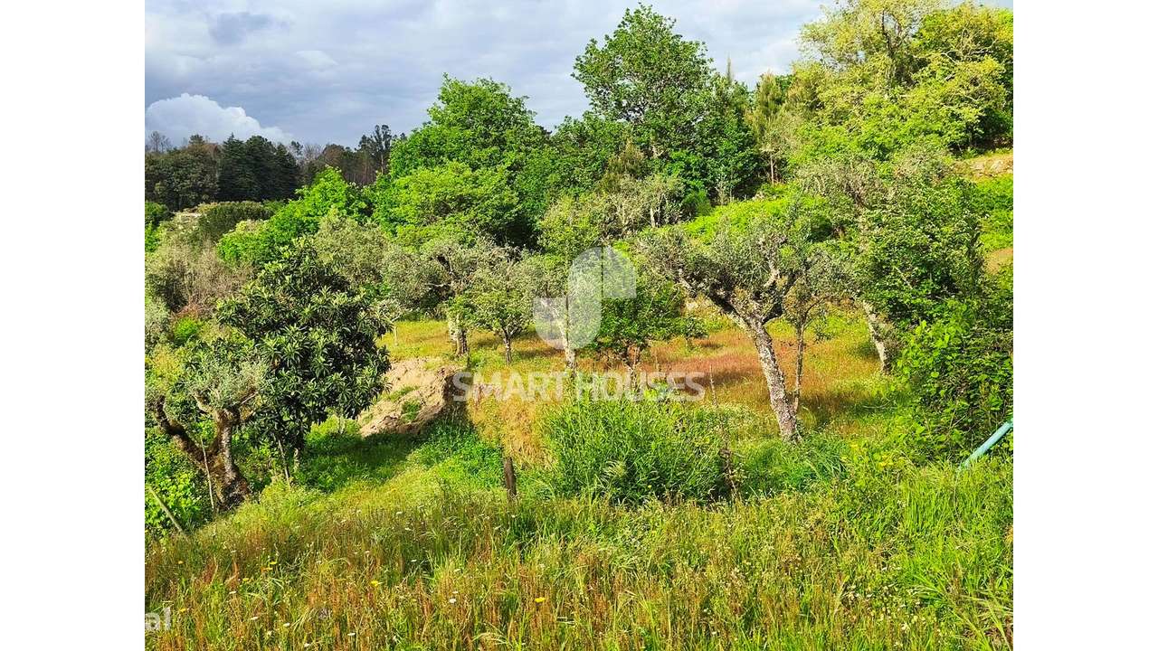 Quintinha em Vila do Mato-24