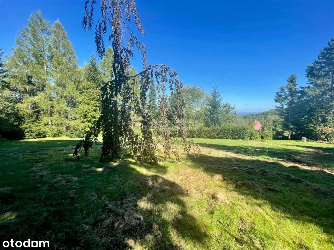 Pięknie, cicho, zielono-4