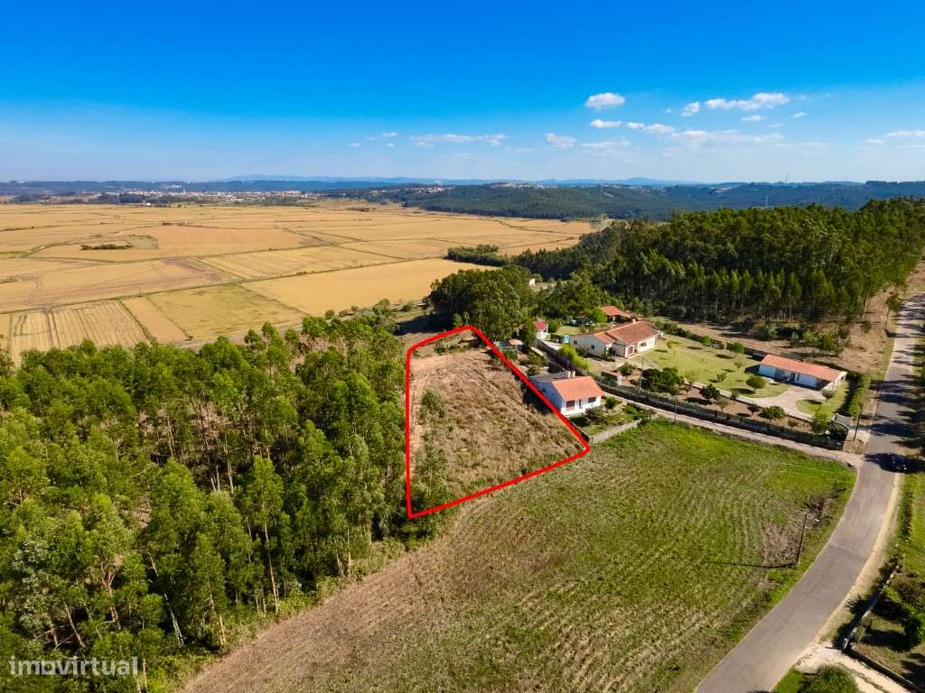 Terreno! Castela! Paião! Figueira da Foz - Grande imagem: 2/13