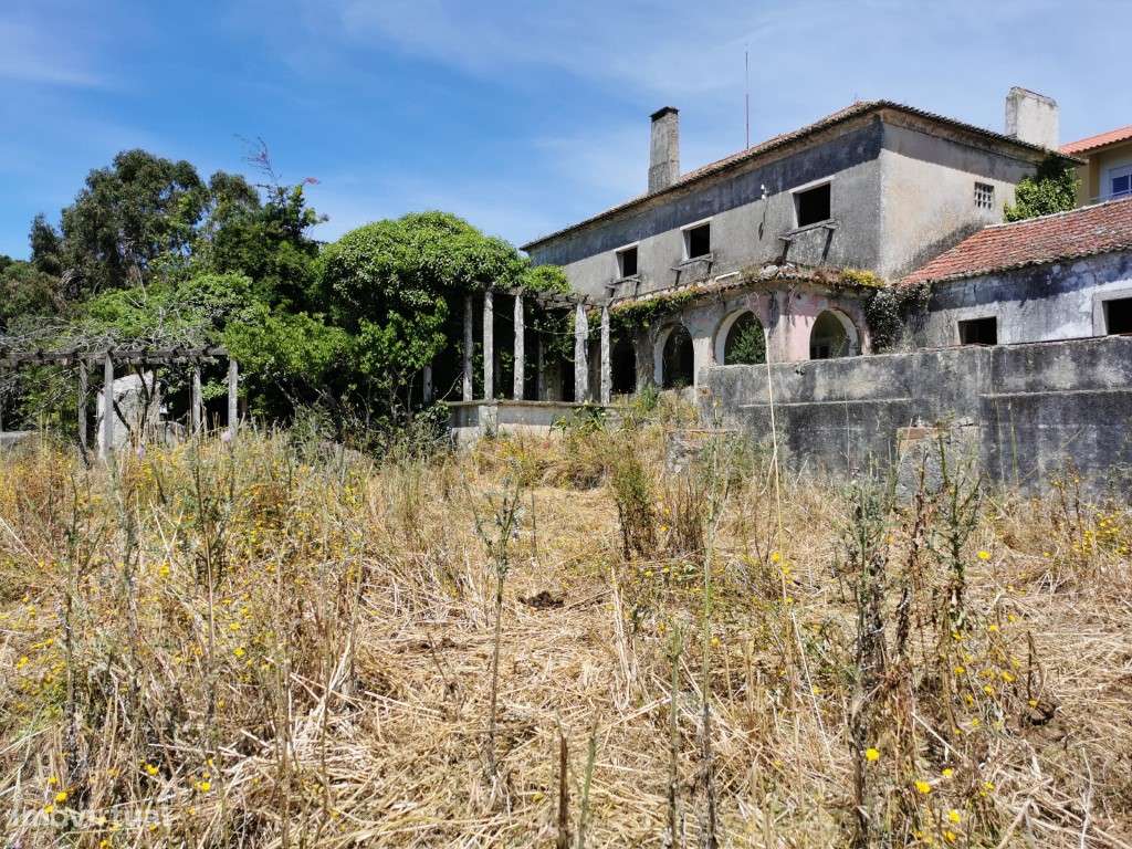 QUINTA com 6600m2 em zona nobre de Belas - Grande imagem: 3/15