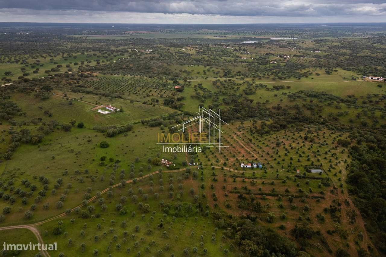 MONTINHO DO CHIADO - MALARRANHA - PAVIA-52