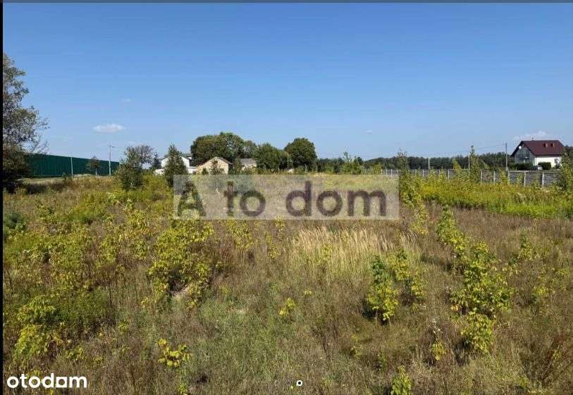 Przy Trasie S-7 Warszawa -Gdańsk-3