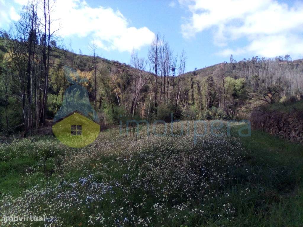 Terreno Rústico

Rustic Land

Terre rustique - Grande imagem: 3/10