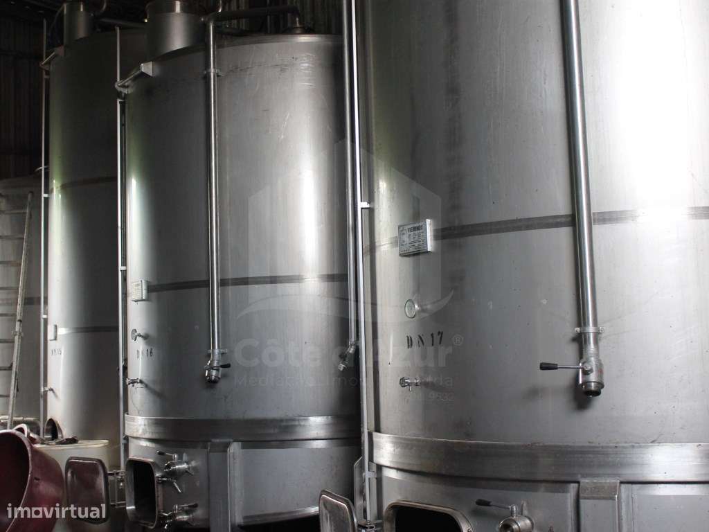 Adega Tradicional à Venda - Cabanas, Quinta do Anjo - Grande imagem: 5/18