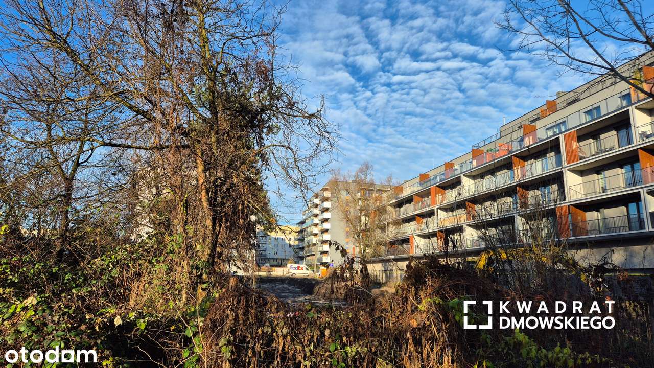 Duża loggia. I piętro. 4 pokojowe. Salon z widokiem na drzewa - Pełny obrazek: 2/9