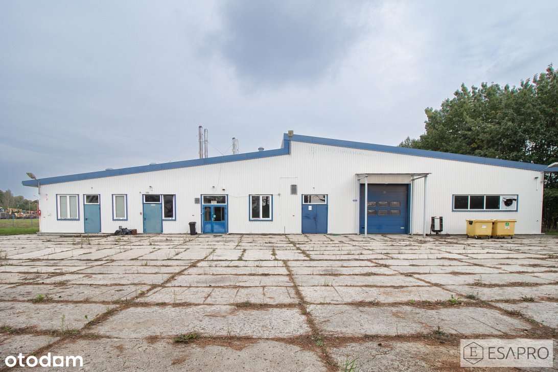 Hala magazynowo-produkcyjna z dużą działką - Pełny obrazek: 5/20