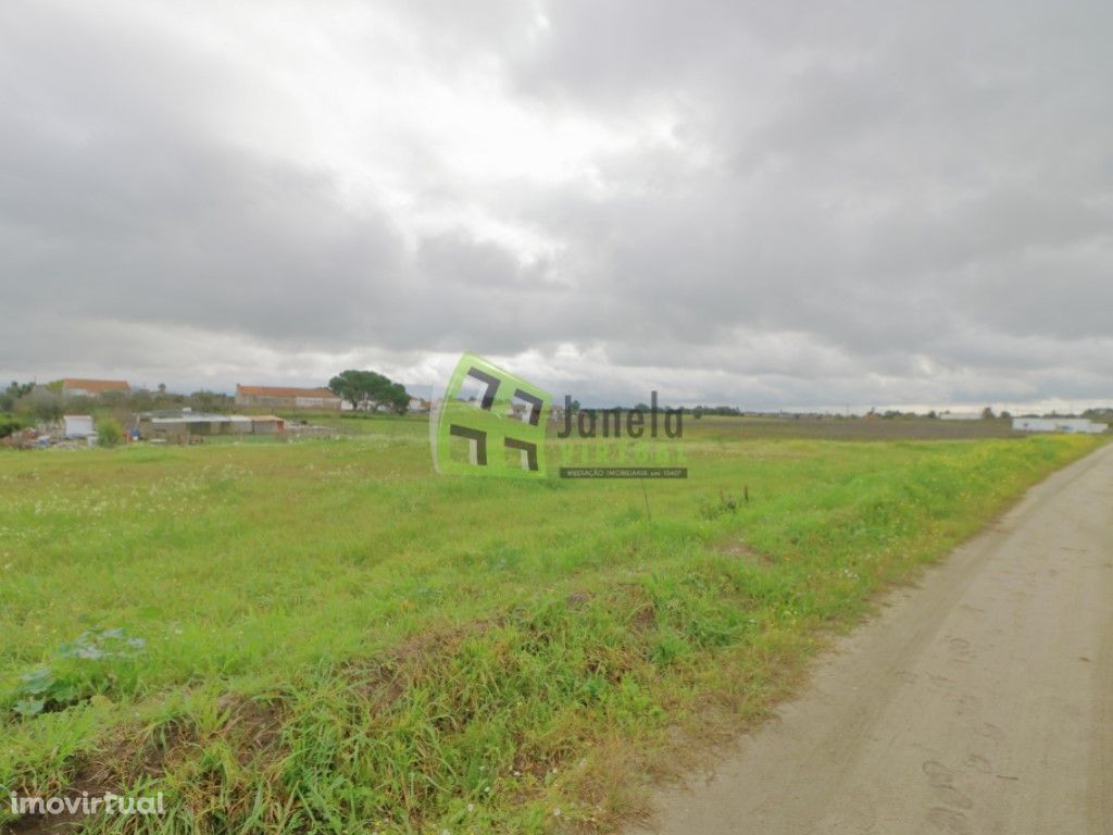 Terreno com 5000m2, Poceirão