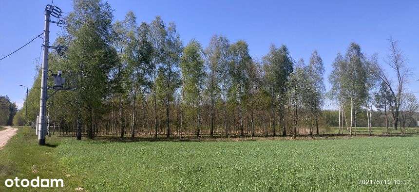 Działka Kołbiel Człekówka BEZ PROWIZJI-10