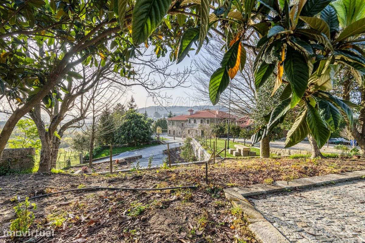 Quinta  para venda-17