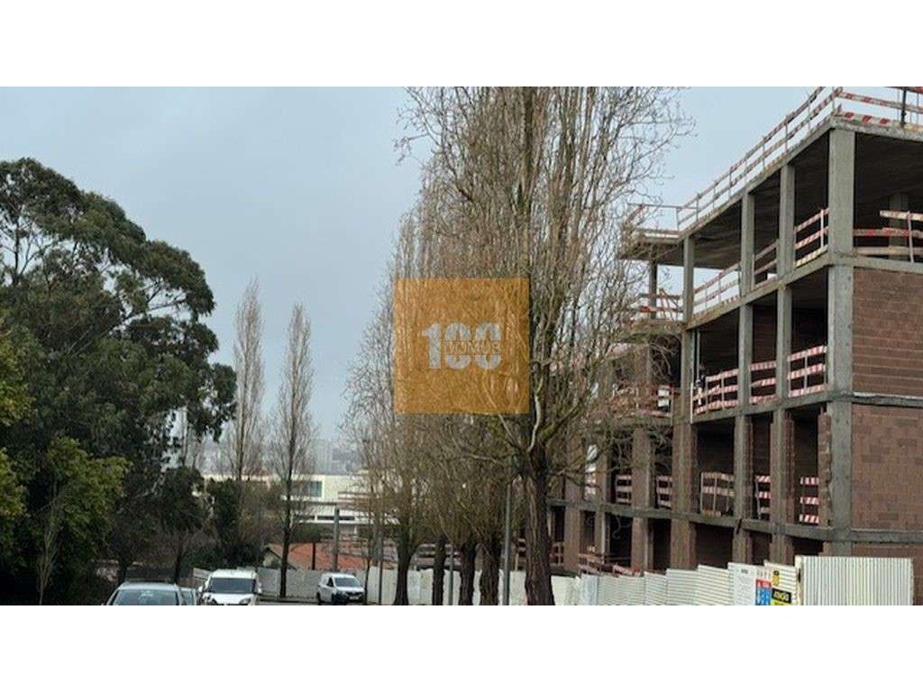 T1+1 novo em Canidelo, Gaia-11