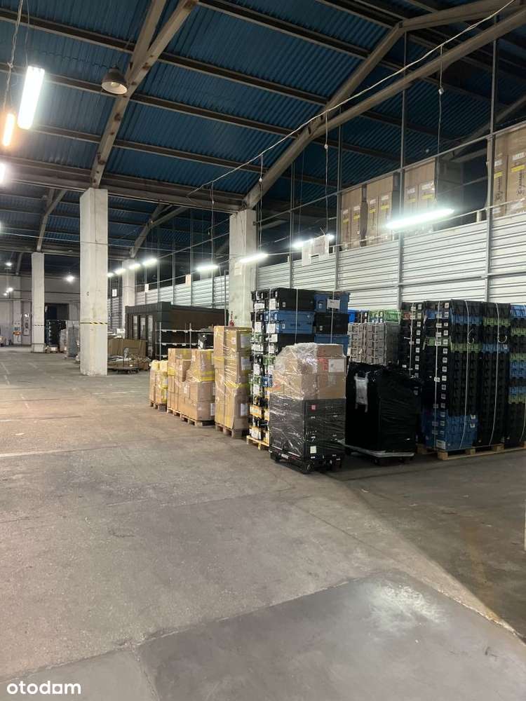 Hala magazynowa, produkcyjna 1679 m2 parter ( z rampą) - Pełny obrazek: 5/6
