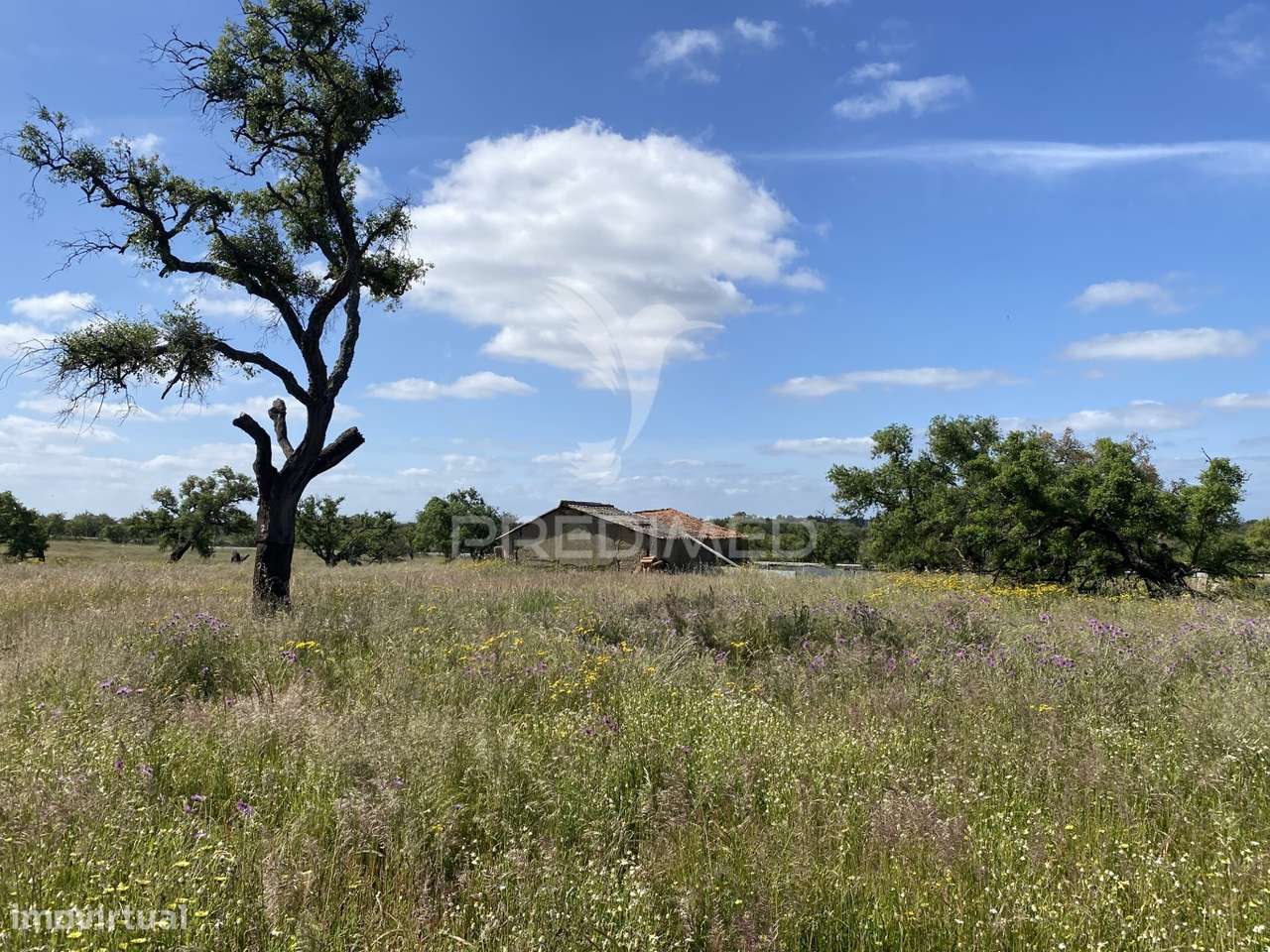 Herdade com ruína para reconstruir - Grande imagem: 5/18