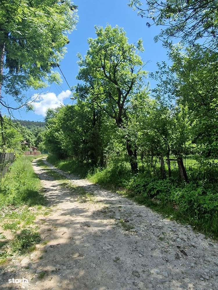 Teren intravilan Comarnic cartier Podul lung langa padure-1
