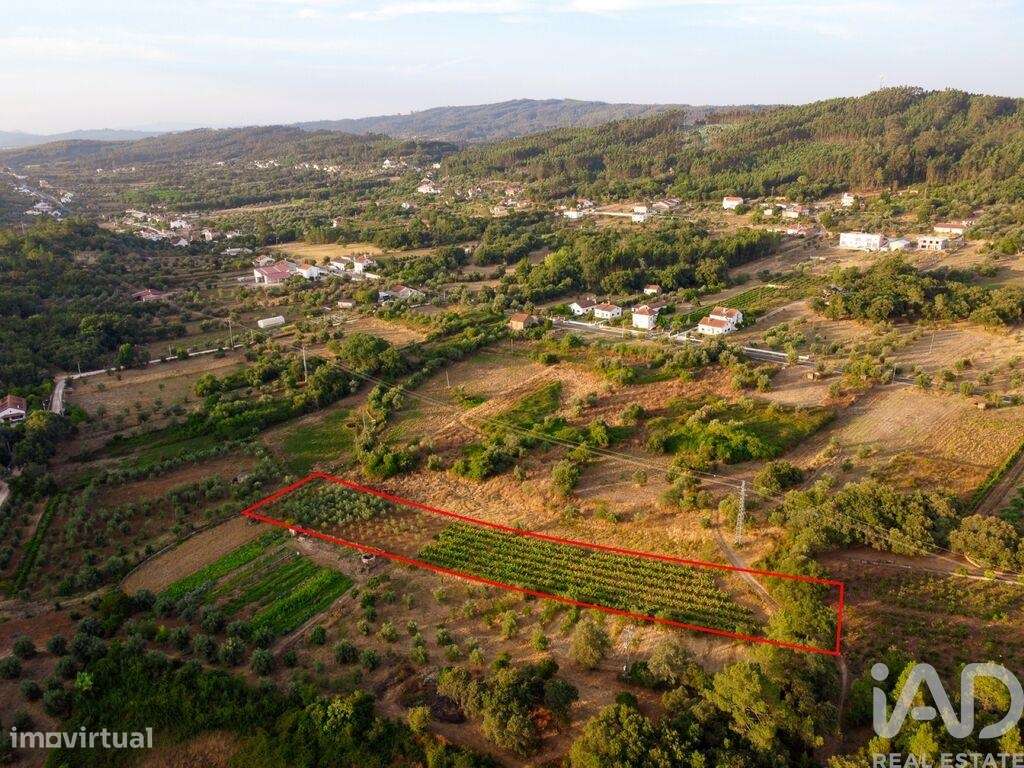 Terreno em Areias e Pias de 3000,00 m2 - Grande imagem: 5/30