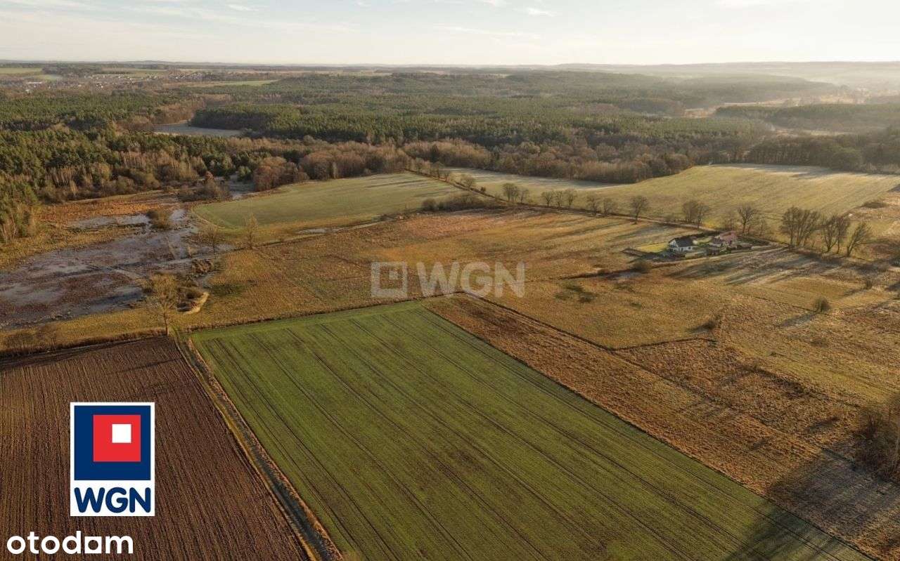 Działka budowlana, 5400m2, Łosino-13