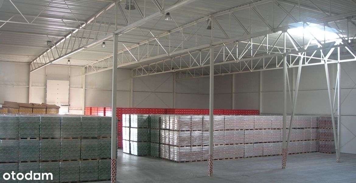 Nieruchomość Produkcyjno-Magazynowa Kórnik/Poznań - Pełny obrazek: 4/7