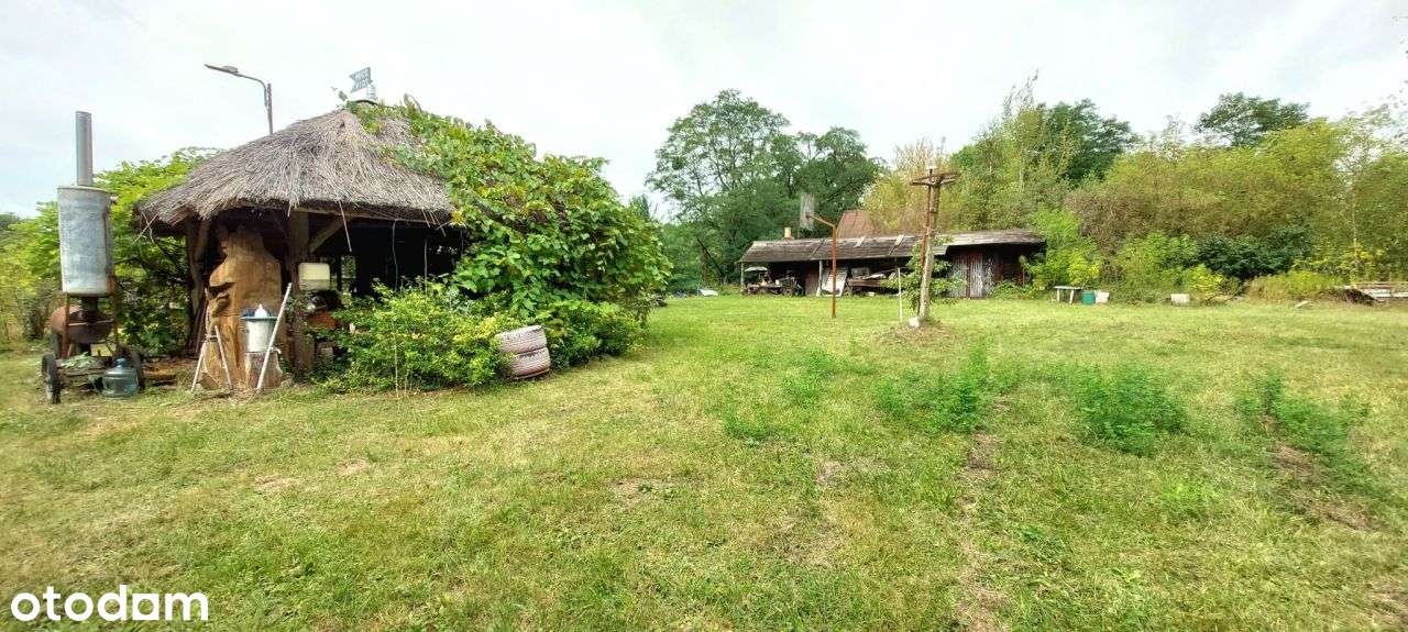 Ranczo Wilkolandia 2 ha zabudowania i staw - Pełny obrazek: 2/14