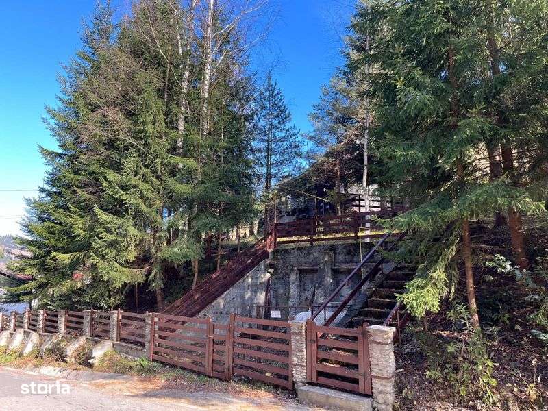 Casa de vacanta cu 20 ari teren langa telescaun - Imagine principală: 5/8