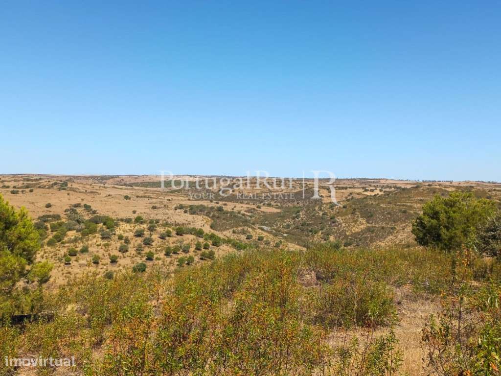 Herdade com 121 hectares e Monte Habitável - Mértola - Grande imagem: 3/29