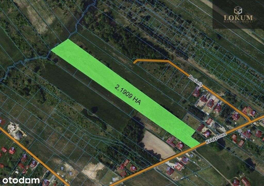 Inwestycja O Pow. 2,1909 Ha W Aleksandrii !!!-5