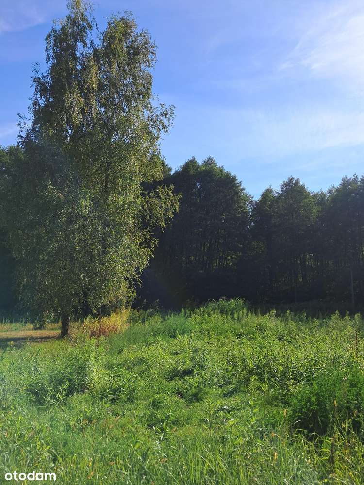 Działka budowlana 1200 m 2 w Pęclinie, gm. Wiązowna, woj. mazowieckie-2