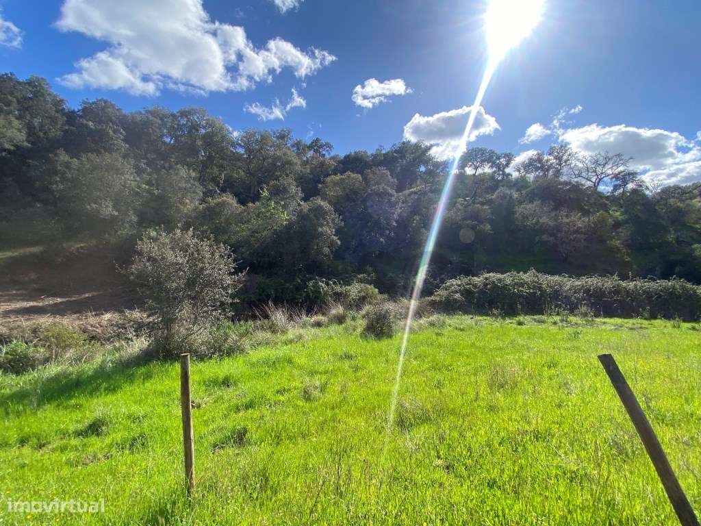 QUINTA T4, SERPA com uma vista fantástica , com duas barragens ...-58