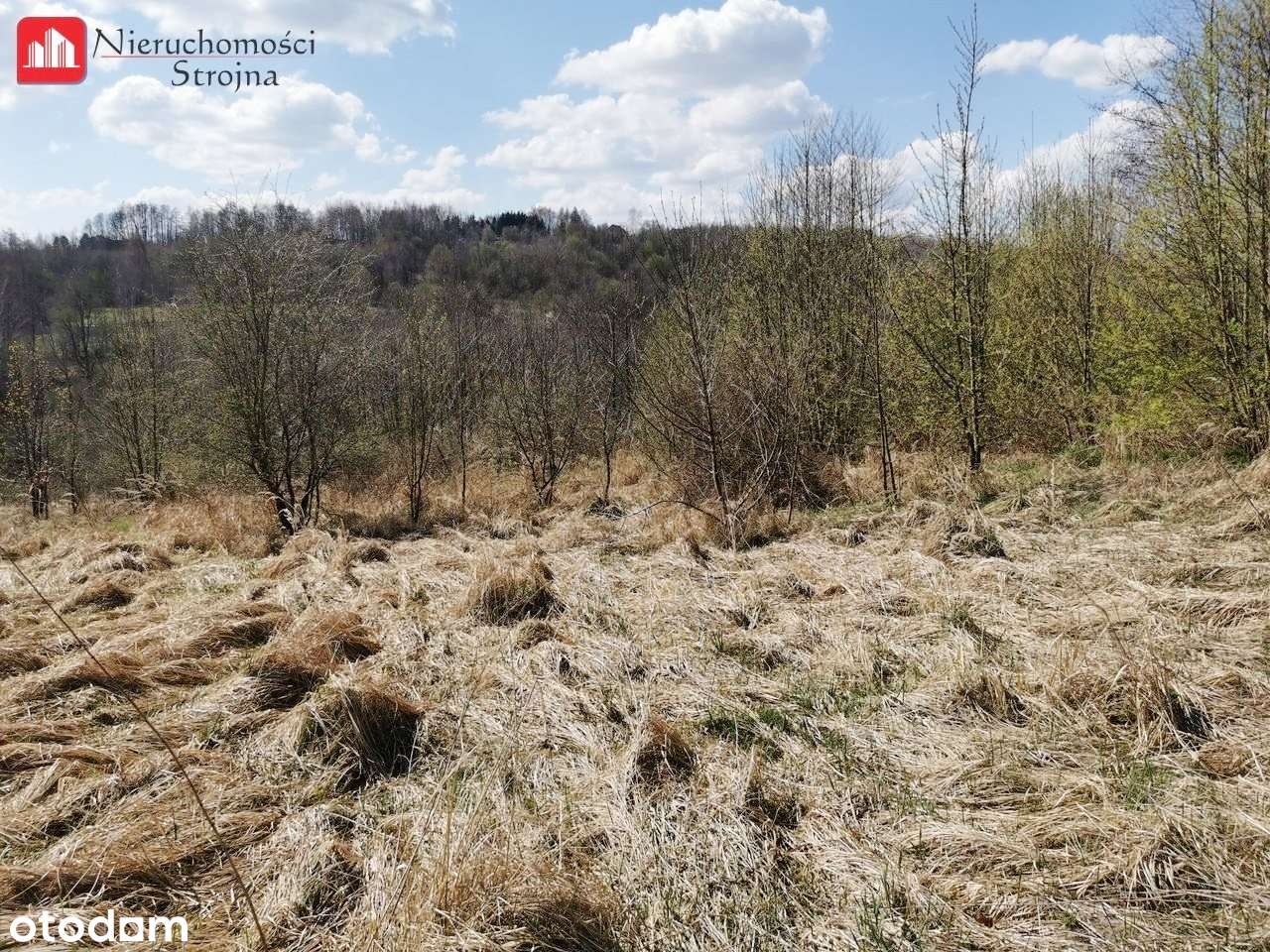 3 Malownicze działki budowlane - Sułów - Pełny obrazek: 5/5