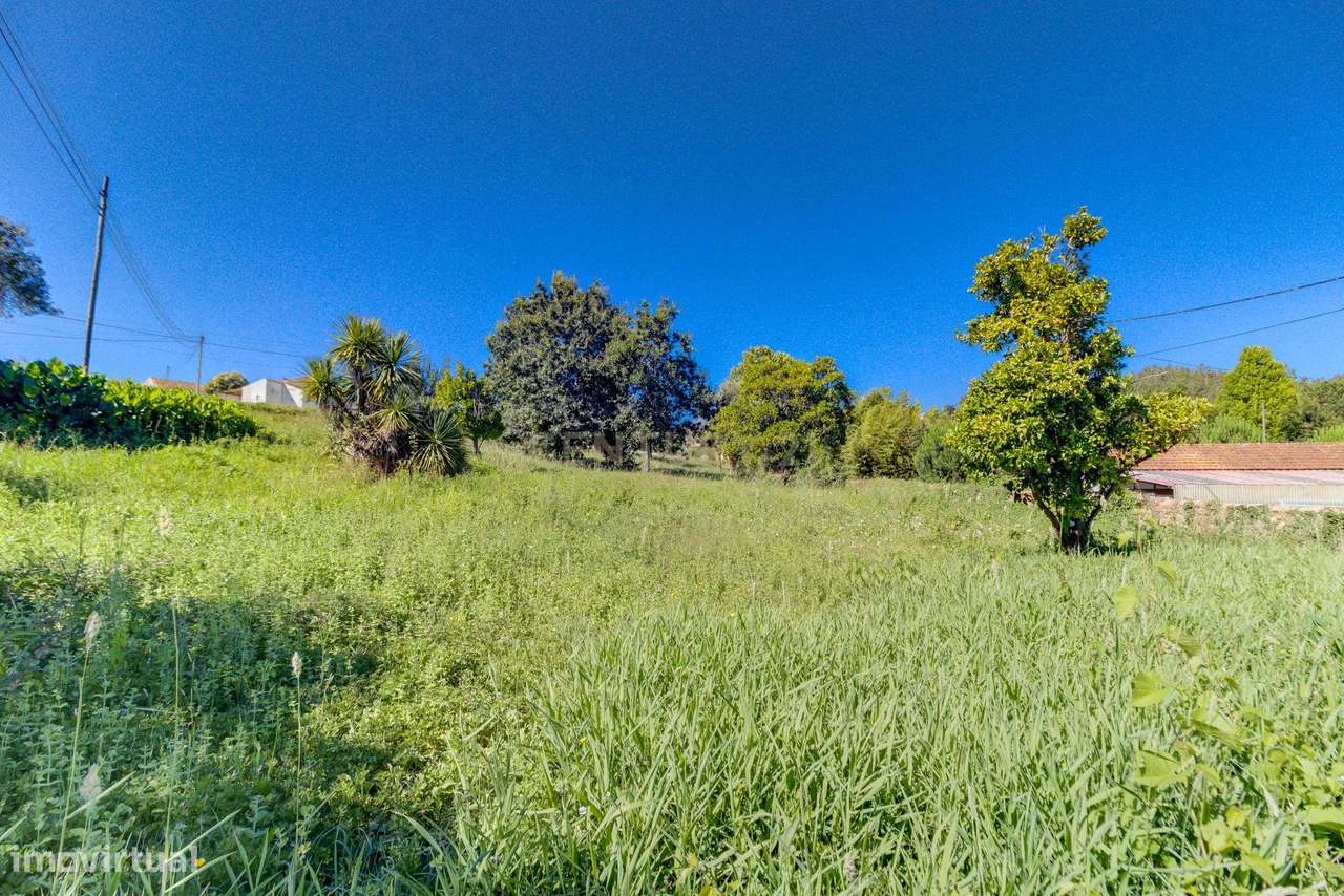 Quinta em Macinhata do Vouga, terreno de 7.049 m² ,  casa com 561 m² - Grande imagem: 4/38