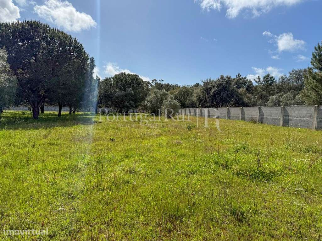 Quinta em Projeto e Licença de Obra em Azeitão - Grande imagem: 3/14