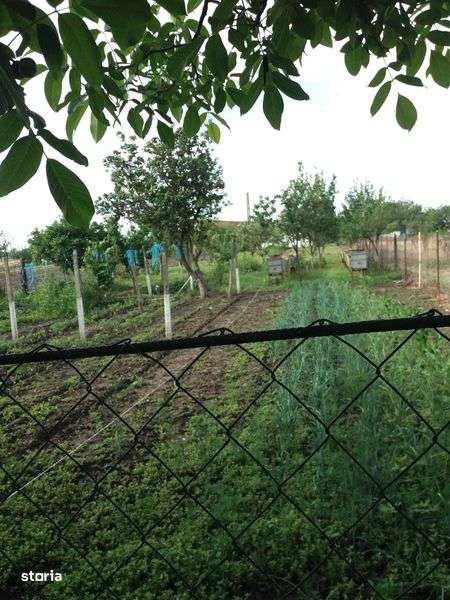 Casa cu teren Cilibia Gara, Buzau - Imagine principală: 4/8