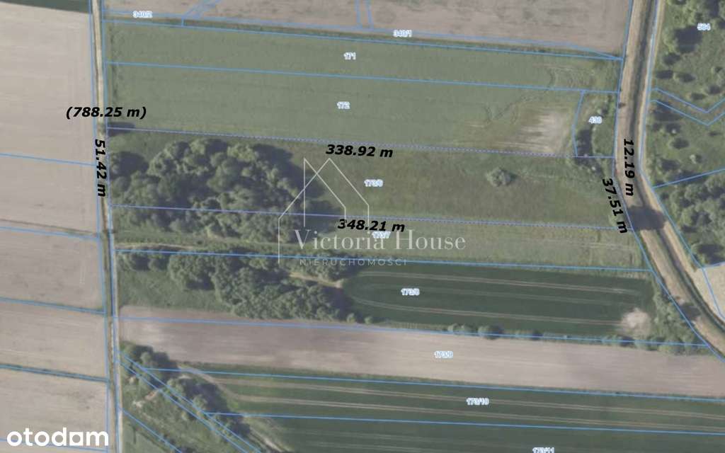 Na sprzedaż działka rolna 1,5 ha Łukowice Brzeskie-1