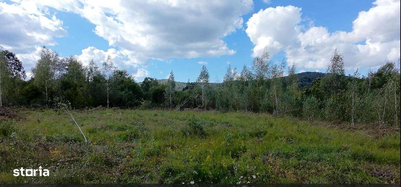 Teren ideal refugiu de weekend, 3182 mp/Plata in 2 rate ! - Imagine principală: 4/7
