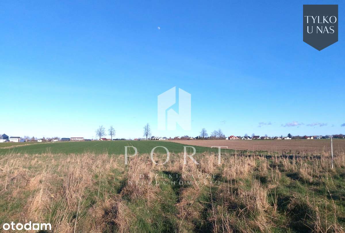 6093 m2 działki w Połchowie gm. Puck - Pełny obrazek: 4/6