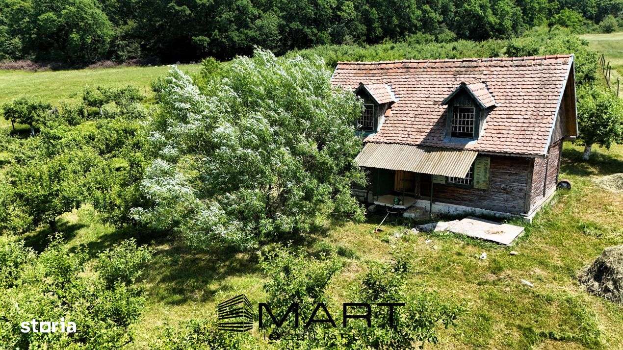 Teren extravilan 5000mp zona Cisnadie - Imagine principală: 3/4