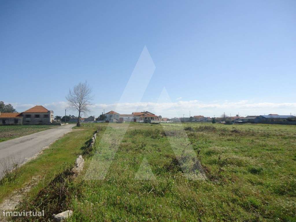 Terreno para construção de 11 moradias nas Quintãs, Aradas - Grande imagem: 2/8