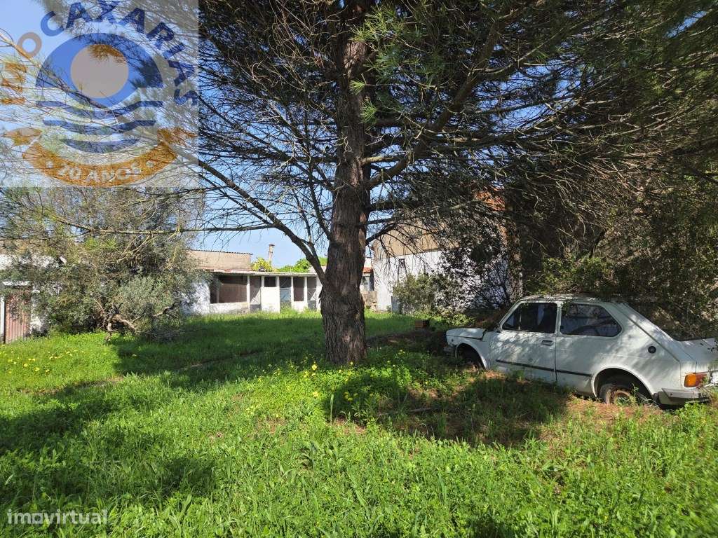 Refúgio Histórico do Séc. XIX: Onde a Tradição se Encontra com a Serra-49